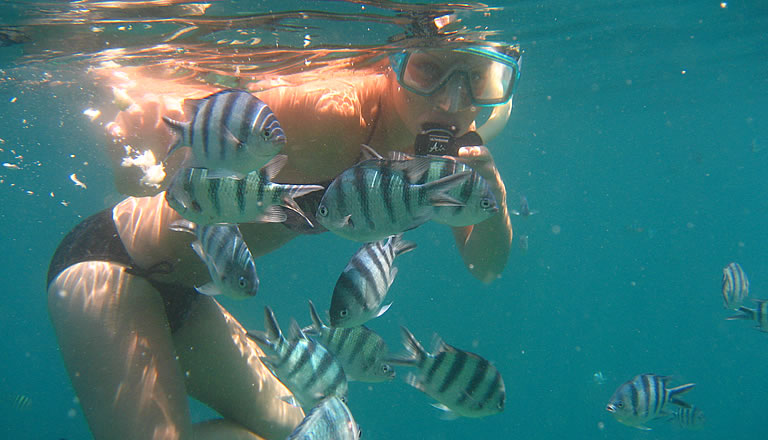 Bali Snorkeling